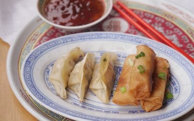 pan fried dumplings and spring rolls