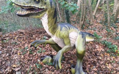 Life size dinosaur for hire