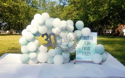 30th Birthday Picnic