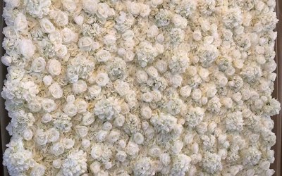 Our amazing quality ivory 3d flowerwall