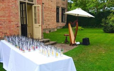 Harpist at outdoor drinks reception