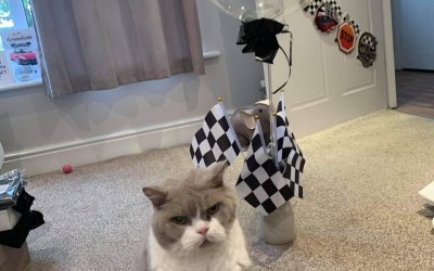 Hand painted pet balloon