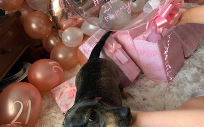 Hand painted pet portrait balloons