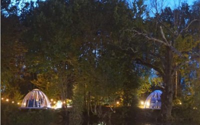 Immersive Dining Experiences