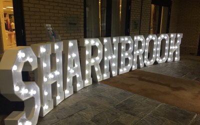 Business name in lights 