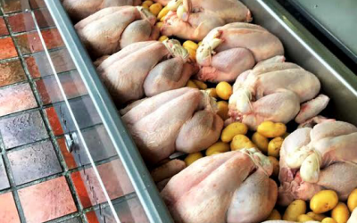 Chicken roasts 