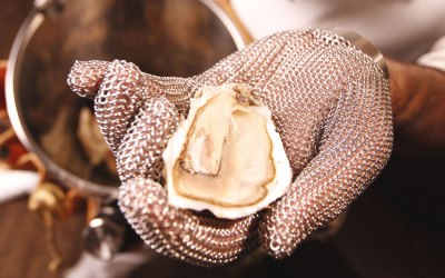 Oyster chain mail glove