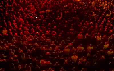 Crowds at a gig