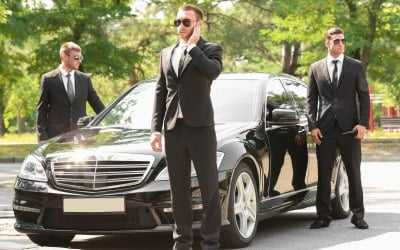 VIP/Celebrity Security