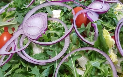 Freshly made salads