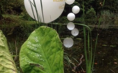 Balloons in the middle of a lake. No problem!