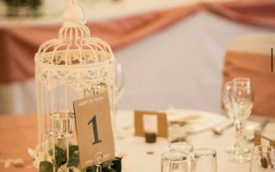Wedding 2019