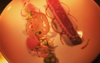 Tuna steak, beef tomato crisp and radish salad 