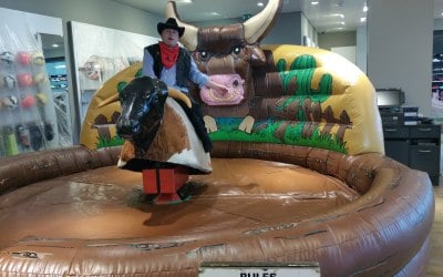 Rodeo Bull/Bucking Bronco