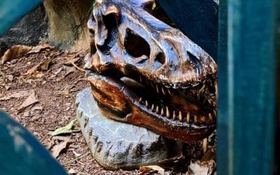 T-Rex skull