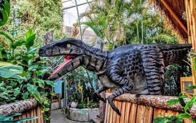 Brand new Raptor Nancy 
