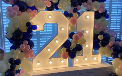 Light up numbers 