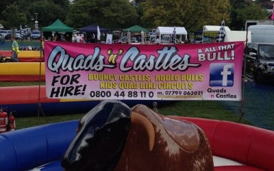 Rodeo Bull