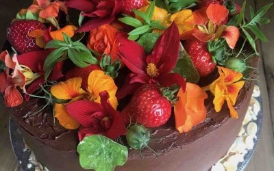 Celebration Cakes 