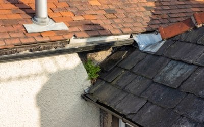 Roof Inspections 