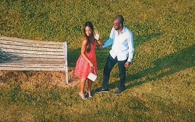 Wedding Proposal -The Newt  