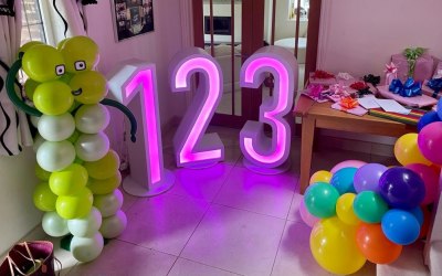 LED light up numbers