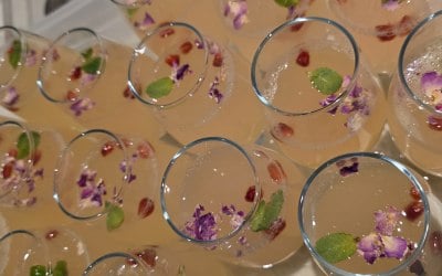 1000067586.jpg 1000067586.jpg