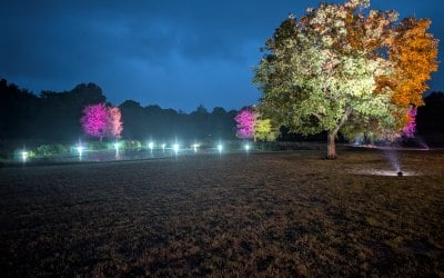 1000015769.jpg 1000015769.jpg