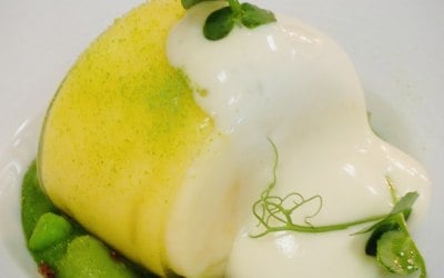 scallop.jpg