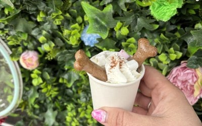 img-8742.jpeg img-8742.jpeg