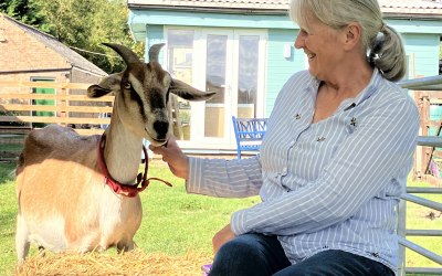 img-2015.jpeg img-2015.jpeg