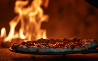 img-0786.jpeg img-0786.jpeg