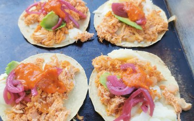 img-20250509-113503.jpg img-20250509-113503.jpg