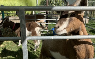 img-2002.jpeg img-2002.jpeg