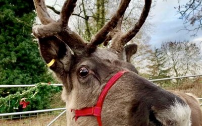 img-0183.jpg img-0183.jpg