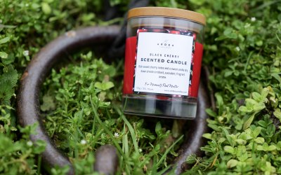 7-p1013123.jpg 7-p1013123.jpg