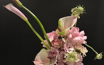 img-7244-original.jpeg img-7244-original.jpeg