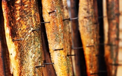 img-20230918-050142-535.jpg img-20230918-050142-535.jpg