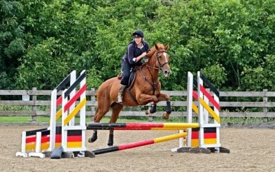 img-0014.jpeg img-0014.jpeg