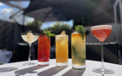 img-4233.jpeg img-4233.jpeg