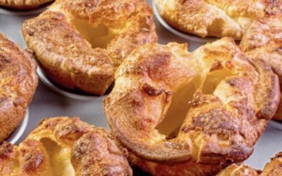 img-8338.jpeg img-8338.jpeg