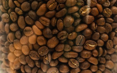 web-res-new-4.jpg web-res-new-4.jpg