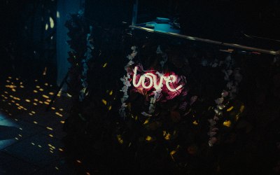 whatsapp-image-2025-10-07-at-11.23.50.jpeg whatsapp-image-2025-10-07-at-11.23.50.jpeg