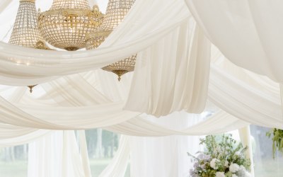 agnesblackltd121-457.jpg agnesblackltd121-457.jpg