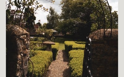 img-1447.jpeg img-1447.jpeg