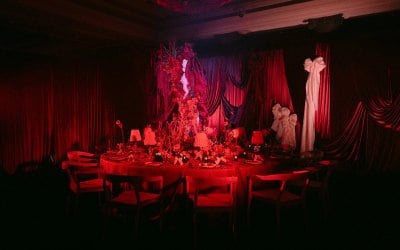 a-vision-in-red-903.jpg.jpg
