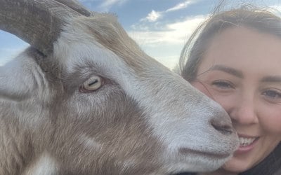 img-9603.jpeg img-9603.jpeg