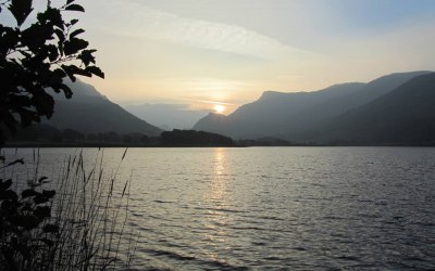 1614243-393607630790993-4485919612183194973-o.jpeg 1614243-393607630790993-4485919612183194973-o.jpeg