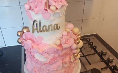 1000084806.jpg 1000084806.jpg