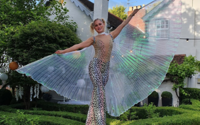 stiltwalker-led-wings.png